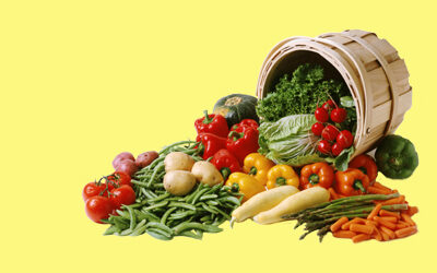 Kit salade maison – PACK BUSINESS