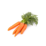 Carotte