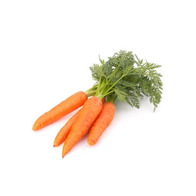 Carotte