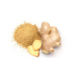 Gingembre