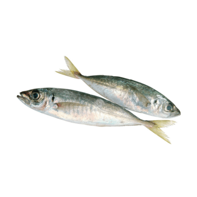 Poisson Chinchard 1kg